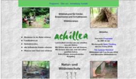 Achillea