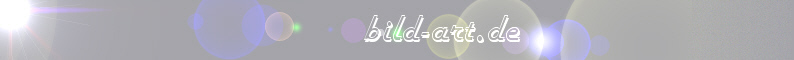 bild-art logo